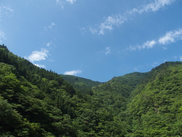 f0327061_14303973.jpg