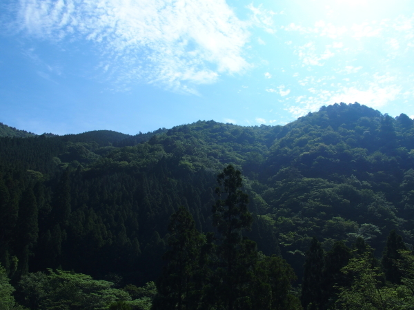 f0327061_14310834.jpg