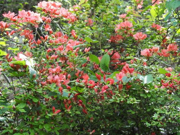 f0327061_14315383.jpg