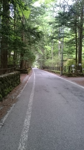 y散歩♪_c0100865_10370326.jpg
