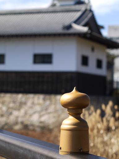 京阪膳所（けいはんぜぜ）散歩写真_c0191967_15293722.jpg