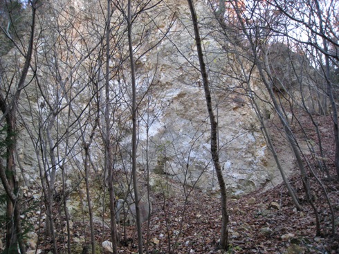 a0087378_4382451.jpg