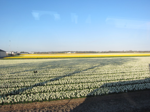 a0226578_91427.jpg