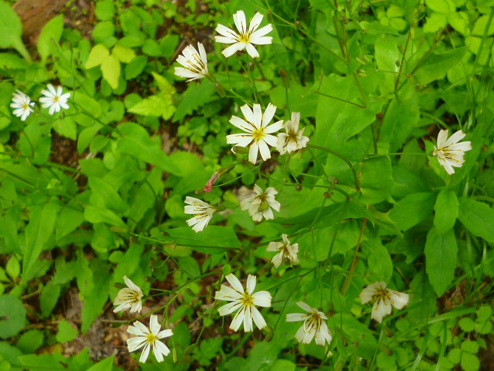 e0355083_630894.jpg
