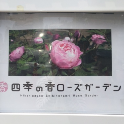 光が丘ローズガーデン その2_b0367284_12404664.jpg