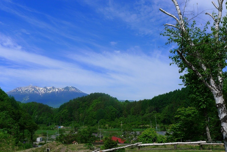 a0130586_18572522.jpg