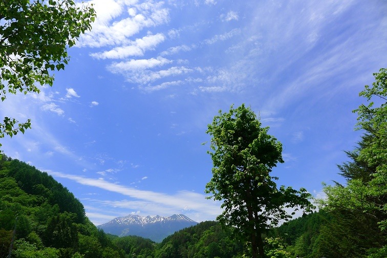 a0130586_19143383.jpg