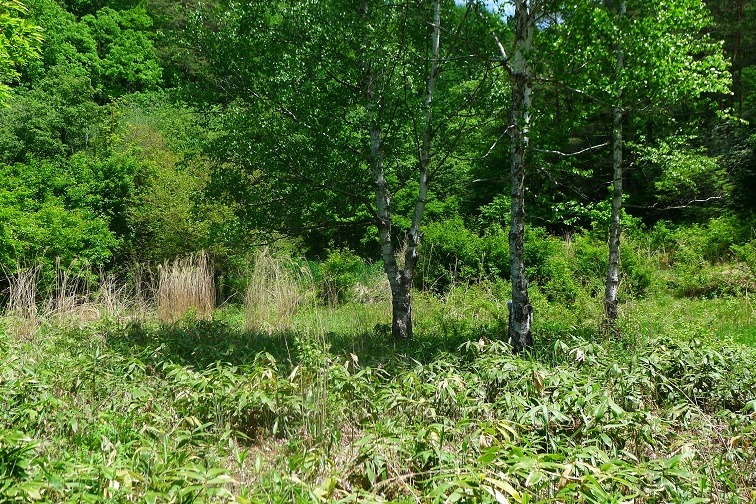 a0130586_19263147.jpg