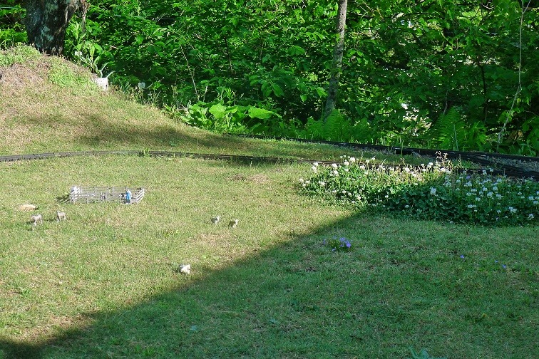 a0130586_8423645.jpg