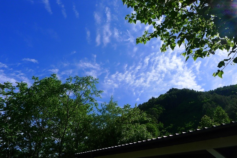 a0130586_8451945.jpg