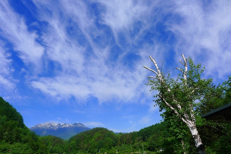 a0130586_8471349.jpg