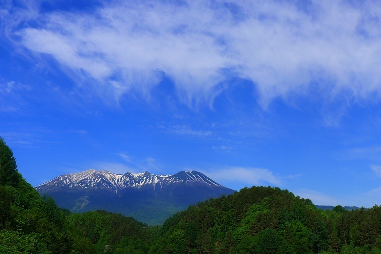 a0130586_8474284.jpg