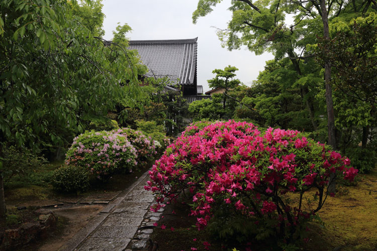 大法院（妙心寺塔頭）_e0051888_614145.jpg