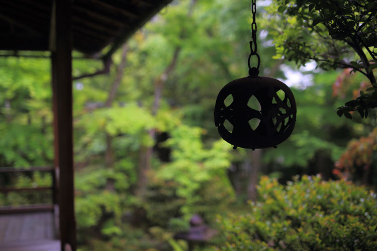 大法院(妙心寺塔頭)_e0051888_6143773.jpg