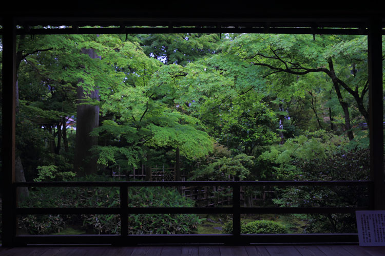 大法院(妙心寺塔頭)_e0051888_6145484.jpg