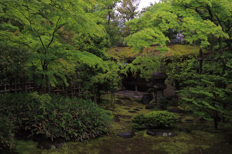 大法院（妙心寺塔頭）_e0051888_615463.jpg