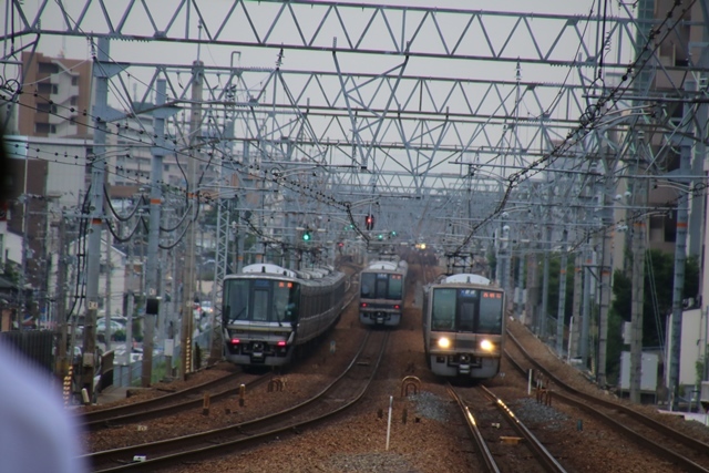 d0181492_21522041.jpg