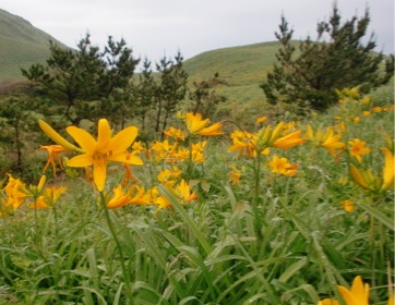 c0151898_17515581.jpg