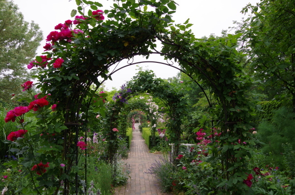 イギリス式庭園 アンディ ウィリアムズ ボタニックガーデン 季節の風を追いかけて