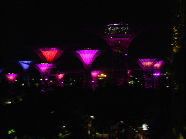 d0135801_2324964.jpg