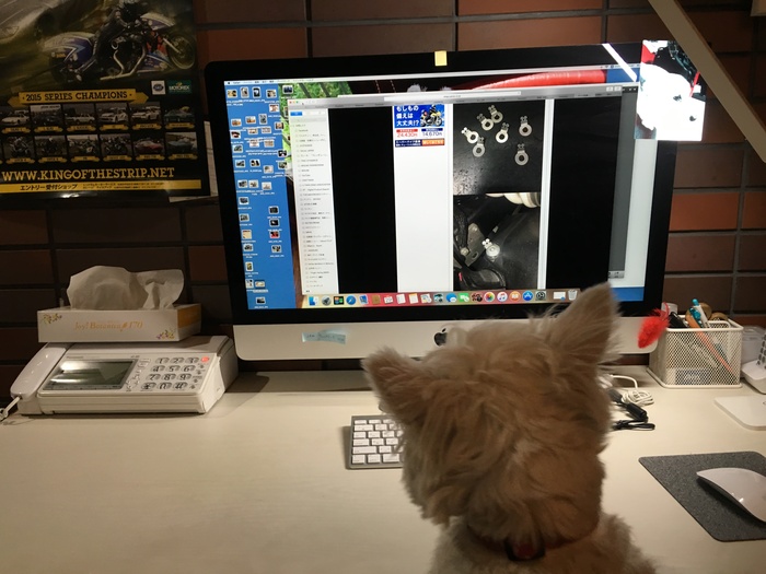 ワイヤリングに迷ったら........_c0226202_5561663.jpg