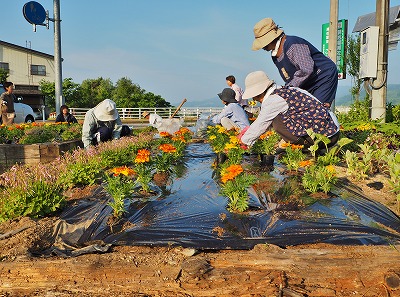浦佐の花いっぱい活動_c0336902_11192417.jpg