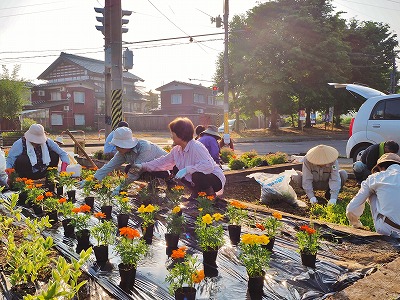 浦佐の花いっぱい活動_c0336902_1119396.jpg