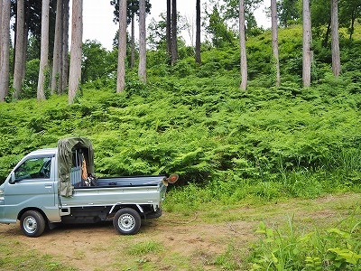 里山の別天地です!_c0336902_17292623.jpg