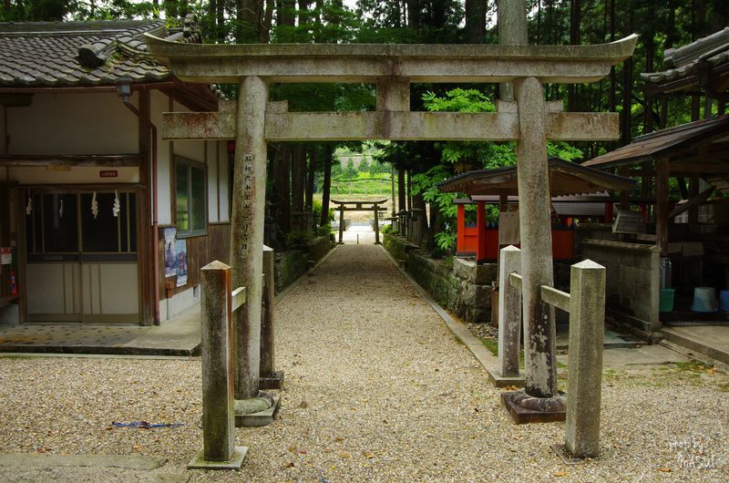 奈良市邑地町（おおじちょう）　水越神社　3/3_d0342307_11532847.jpg