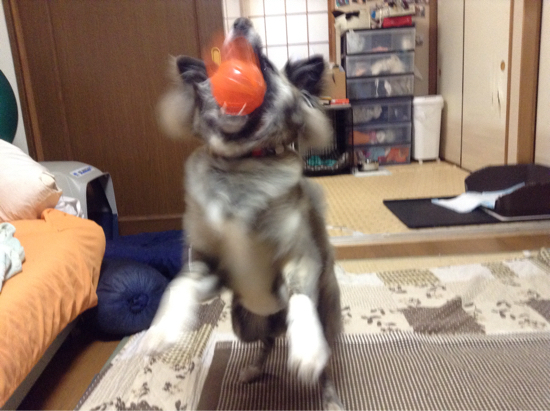 f0329311_07591050.jpg