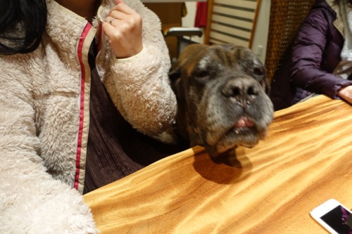 ザックとパパがハーレム状態_e0192217_1435167.jpg