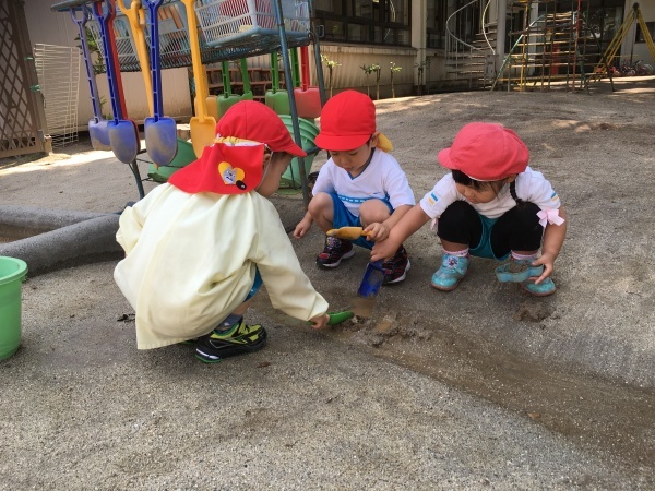 b0142227_16400818.jpeg