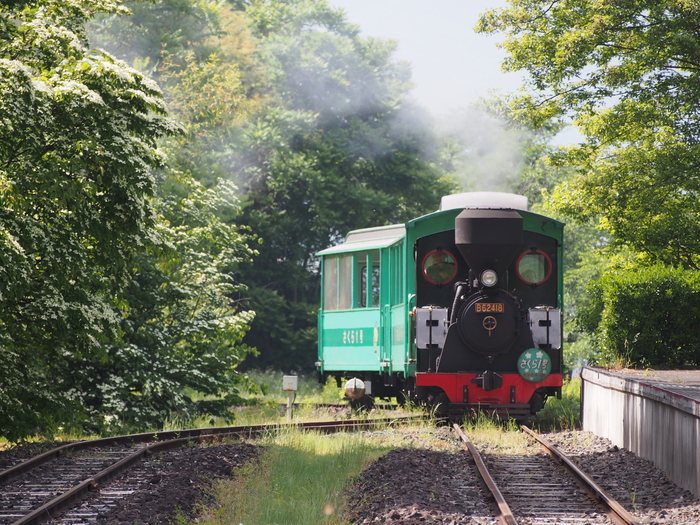 やながわ希望の森公園の蒸気機関車_e0266727_139314.jpg