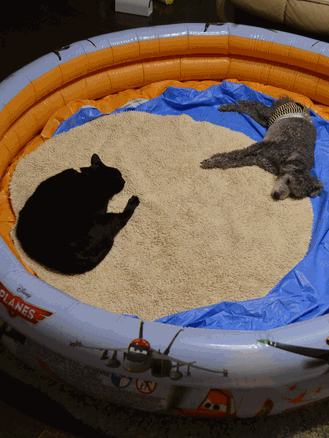 c0136736_22172727.gif