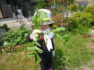 c0343936_23144128.jpg