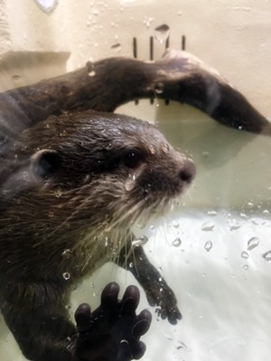 進化型水族館！_d0178136_1124444.jpg