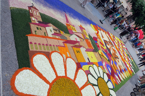 傑作を花で描いて町彩る、Infiorata di Spello１_f0234936_6423162.jpg