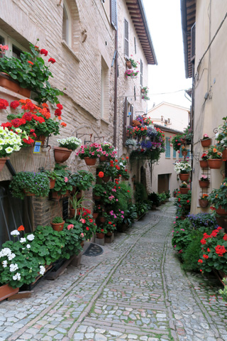 傑作を花で描いて町彩る、Infiorata di Spello1_f0234936_6435295.jpg