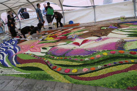 傑作を花で描いて町彩る、Infiorata di Spello1_f0234936_6452078.jpg