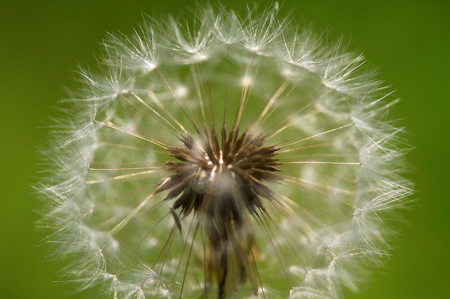 a0242438_19243249.jpg