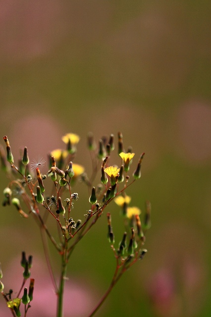 a0242438_19244810.jpg