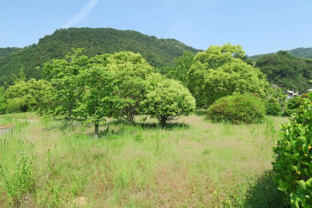 a0242438_19252222.jpg