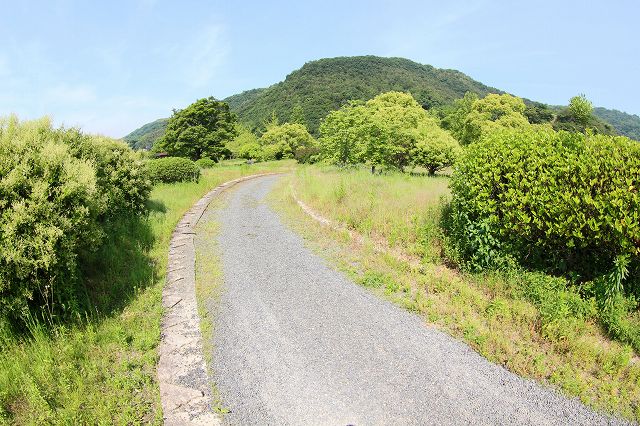 a0242438_19252874.jpg