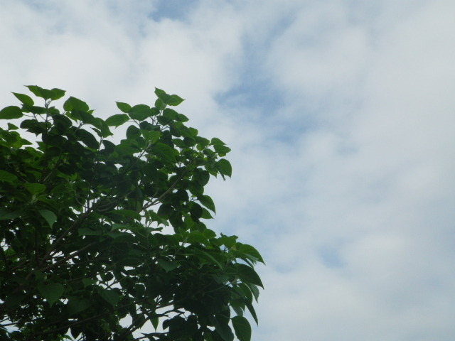 ミル感謝。_b0207642_2073168.jpg