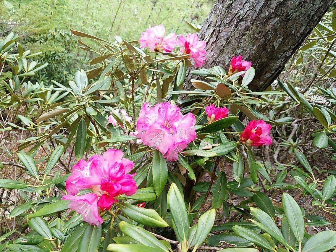 5月31日の日記_c0369344_19500849.jpeg