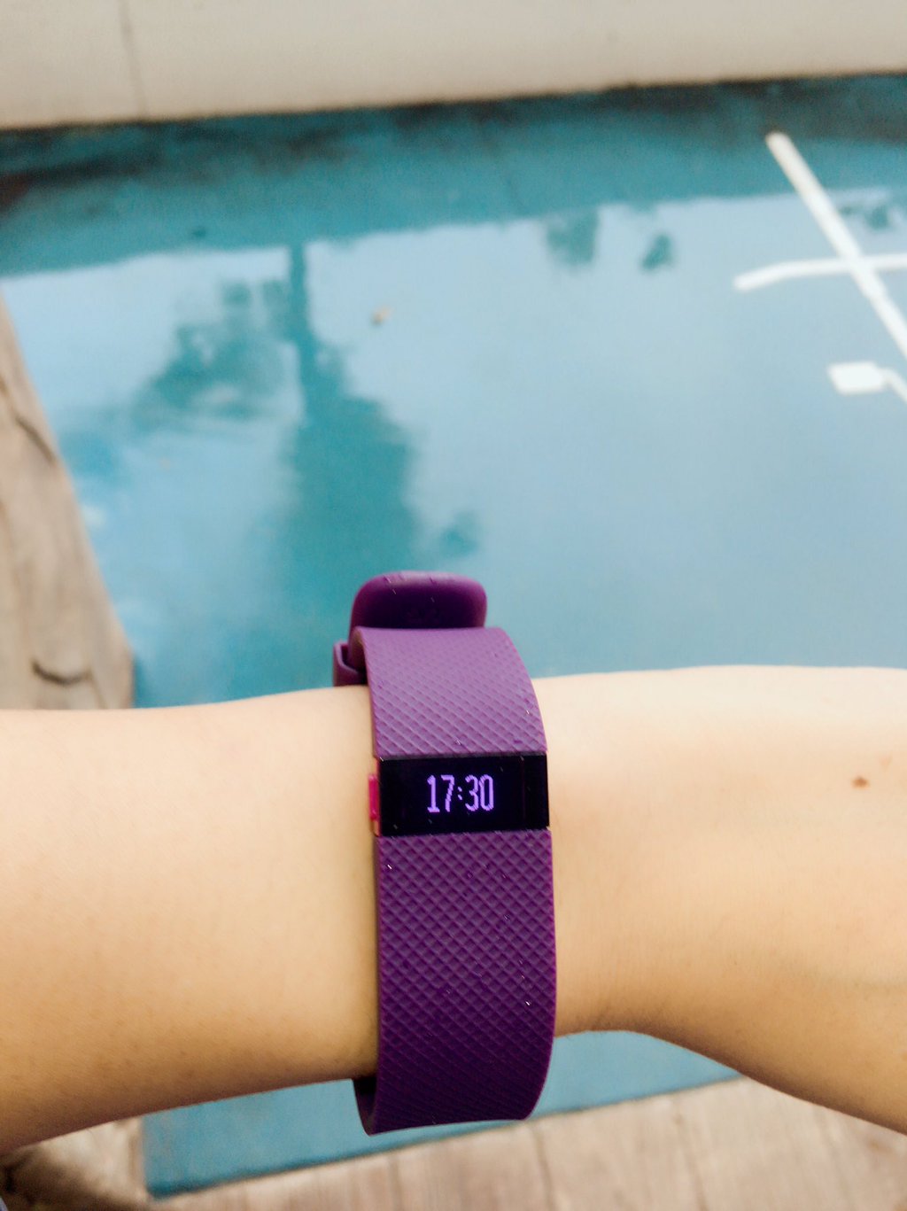 Fitbit_e0033248_2011180.jpg