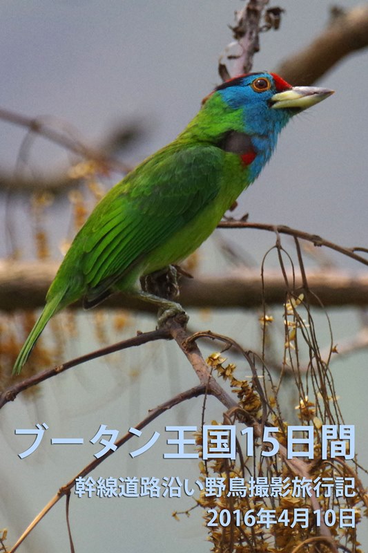ヒマラヤの秘境ブータン王国 ヴィンテージ 「キラ」 - メルカリ