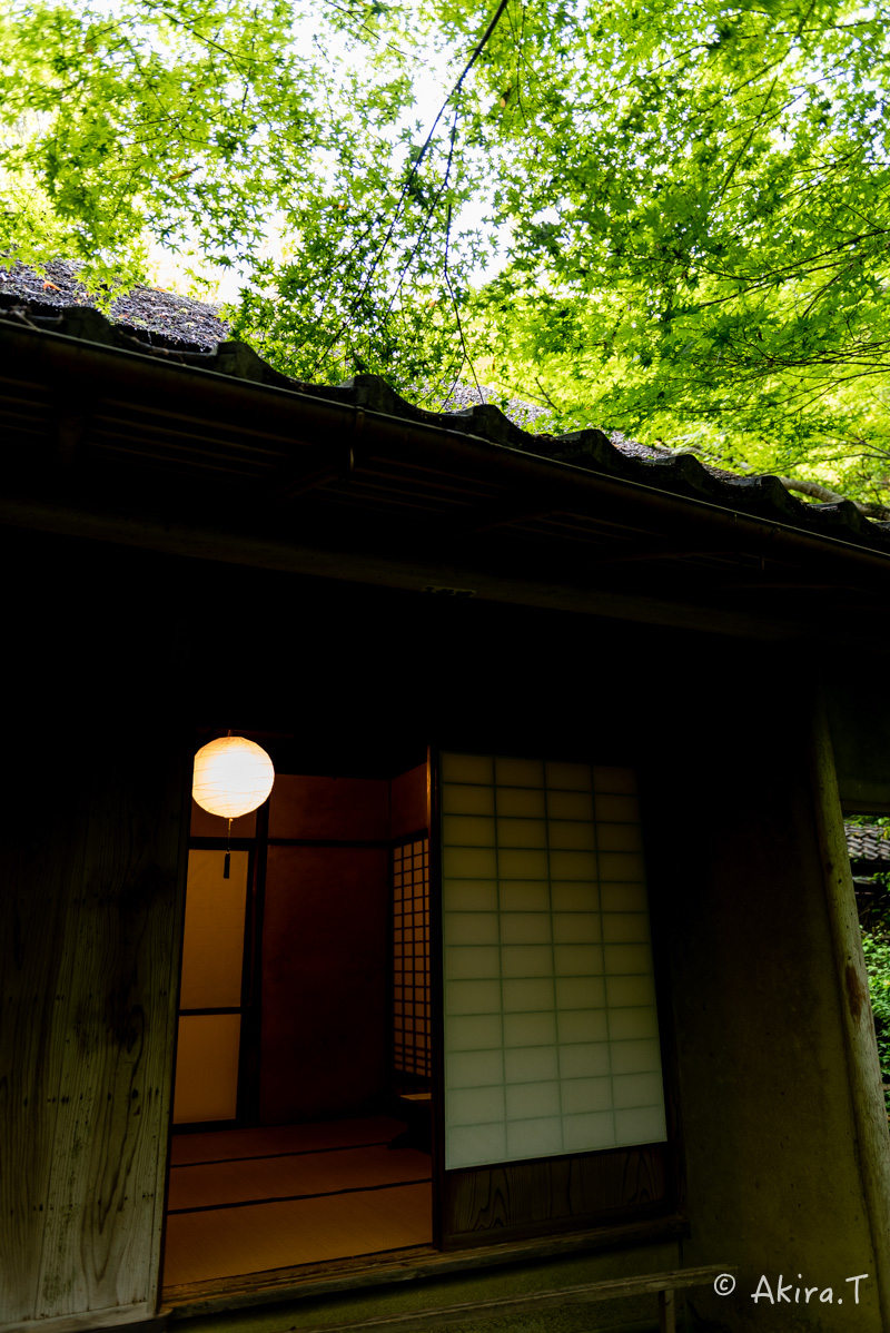 京都の新緑 2016 〜祇王寺 1 〜_f0152550_2130436.jpg