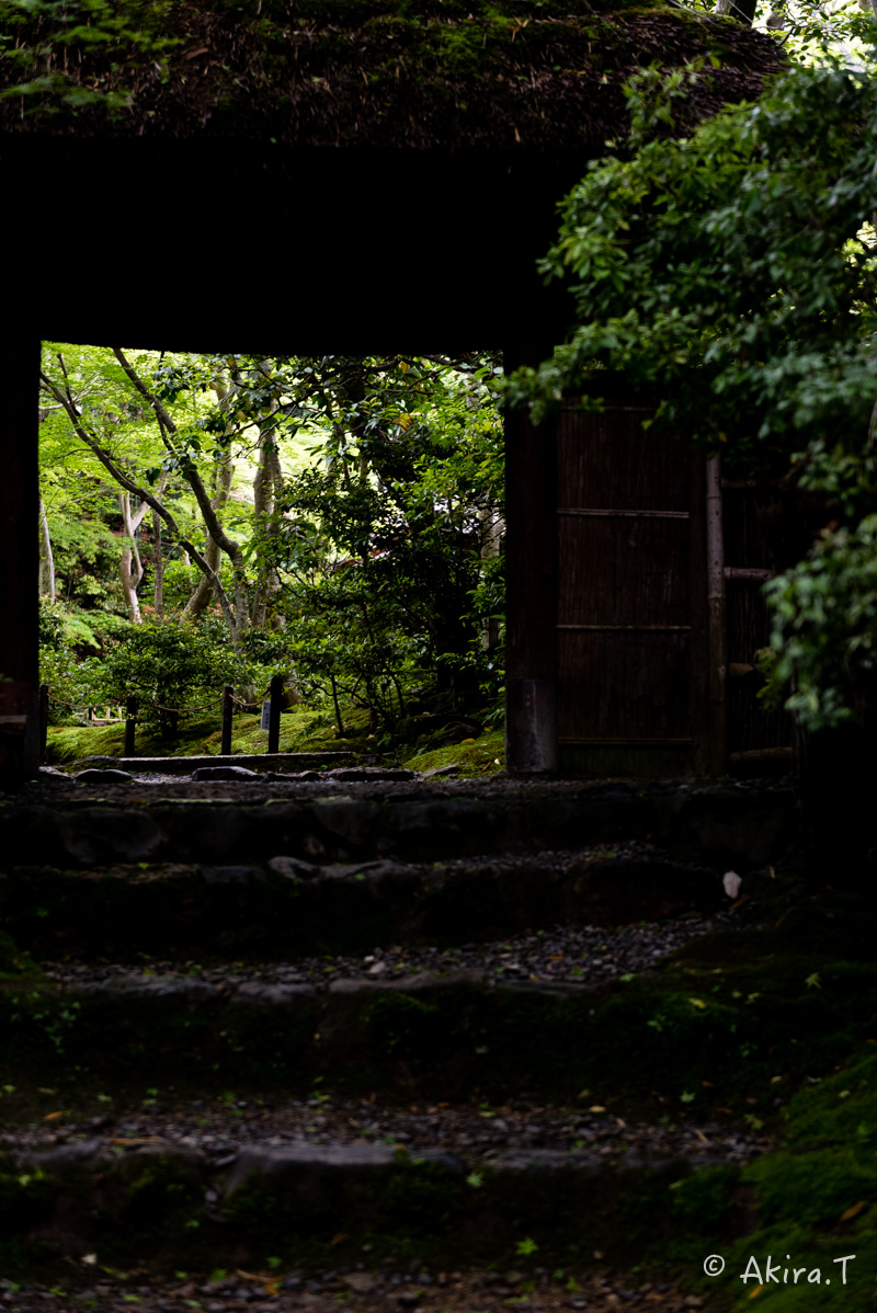 京都の新緑 2016 〜祇王寺 1 〜_f0152550_21322398.jpg