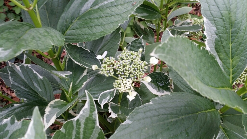 f0046854_22413907.jpg